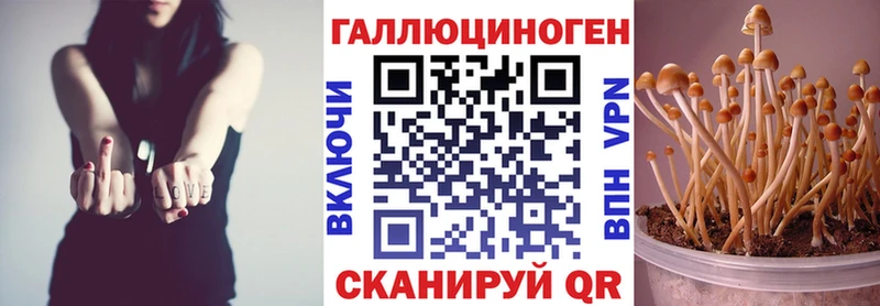 даркнет официальный сайт Сухиничи Псилоцибиновые грибы MAGIC MUSHROOMS